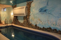 Barrakuda Hotel: Сауна - photo 13