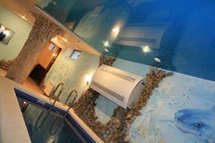 Barrakuda Hotel: Сауна - photo 11