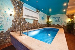 Barrakuda Hotel: Сауна - photo 18