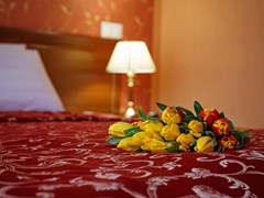 Bogema Premium Hotel: Семейный 2-местный  - photo 26