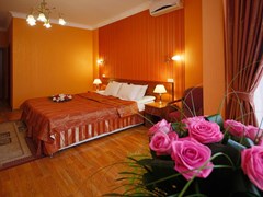 Bogema Premium Hotel: Стандарт 2-местный - photo 17