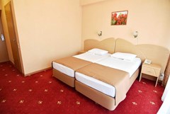 Brigantina (Gelendzhik) Hotel: Standard 2-местный 1 категории  - photo 45