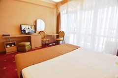 Brigantina (Gelendzhik) Hotel: Standard 2-местный 1 категории  - photo 47