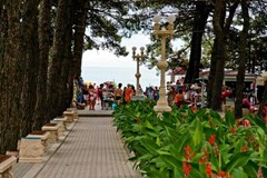 Kristall (Gelendzhik) Hotel-pansionat: Территория - photo 12