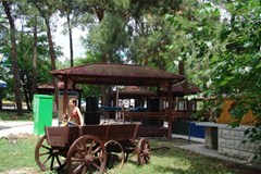 Kristall (Gelendzhik) Hotel-pansionat: Территория - photo 11