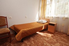 Pleyada Gostinicza: Стандарт 3-местный   - photo 28