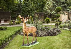 Belaya Dacha Sanatorium: Территория - photo 7