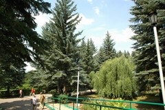 Picket Sanatorium: Территория - photo 3