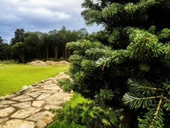 Medvezhij ugol Baza otdy`xa: Территория - photo 20
