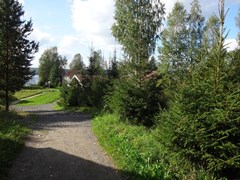 Derevnya Aleksandrovka Turistskij kompleks: Территория - photo 8