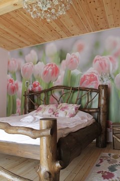 Bol`shaya Medvedicza Zagorodny`j kompleks: Коттедж 6-местный Три медведя  - photo 40