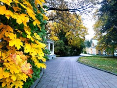Valuevo Sanatorij: Территория - photo 6