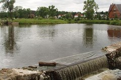 Zvenigorod Sanatorij: Территория - photo 39