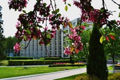 Istra(ROP) Sanatorij: Территория - photo 5