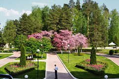 Istra(ROP) Sanatorij: Территория - photo 4