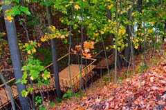 Istra(ROP) Sanatorij: Территория - photo 8