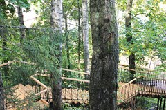 Istra(ROP) Sanatorij: Территория - photo 6