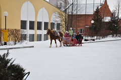Ognikovo Park-otel`: Территория - photo 9
