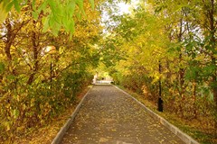 Ognikovo Park-otel`: Территория - photo 8