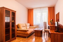 Ognikovo Park-otel`: Люкс 2-местный 2-комнатный - photo 23