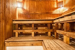 Ognikovo Park-otel`: Сауна - photo 21