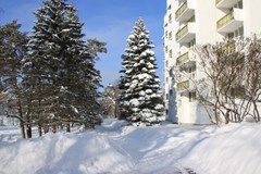 Petrovo-Dal`nee (UDP RF) Pansionat: Территория - photo 19