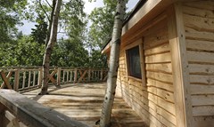 E`korancho Alekseevka e`ko-otel`: Дом 2-местный Дом на дереве Дом 2-местный (дом на дереве) - photo 37