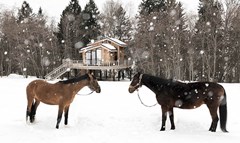 E`korancho Alekseevka e`ko-otel`: Конюшня - photo 11