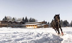 E`korancho Alekseevka e`ko-otel`: Конный клуб - photo 12