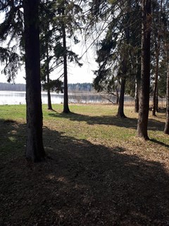 Aksakovskie zori Sanatorij: Территория - photo 6