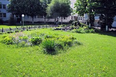 Svetlana(Moskva) Sanatorij: Территория - photo 6
