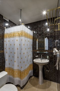 Svetlana(Moskva) Sanatorij: Стандартный 2 местный DBL С/у - photo 100