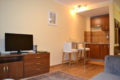 Bekasovo SPA  Pansionat: Студио плюс 2-местный 2-комнатный (с кухней корпус №4) - photo 76
