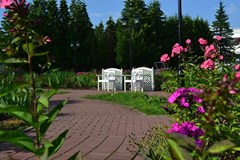 Bekasovo SPA  Pansionat: Территория - photo 14