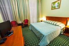 Czarskij les Park-otel`: Vip 2-местный 1-комнатный - photo 27