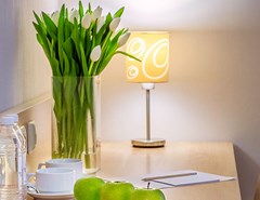 Tulip Sofrino Park-otel`  Park-otel`: Семейный 4-х местный - photo 8