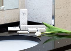 Tulip Sofrino Park-otel`  Park-otel`: Стандартный 2-х местный с/у - photo 10