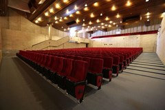 Voronovo Sanatorij: Киноконцертный зал - photo 76