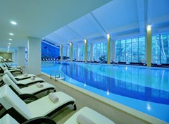 LES Art Resort Zagorodny`j otel`: Бассейн крытый - photo 25