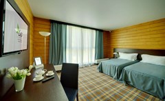 LES Art Resort Zagorodny`j otel`: Сьют 2-местный 1-комнатный Симпл - photo 44