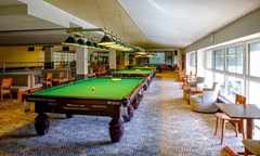 LES Art Resort Zagorodny`j otel`: Бильярд - photo 14