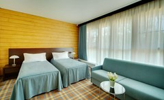 LES Art Resort Zagorodny`j otel`: Классик Сьют 2-местный 1-комнатный - photo 41