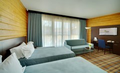 LES Art Resort Zagorodny`j otel`: Классик Сьют 2-местный 1-комнатный - photo 40