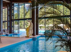 LES Art Resort Zagorodny`j otel`: Бассейн крытый - photo 26