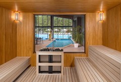 LES Art Resort Zagorodny`j otel`: Сауна - photo 27