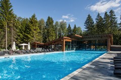 LES Art Resort Zagorodny`j otel`: Бассейн - photo 2