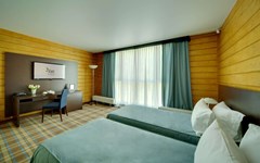 LES Art Resort Zagorodny`j otel`: Сьют 2-местный 1-комнатный Симпл - photo 43