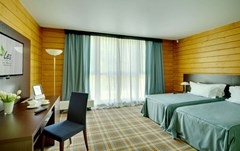 LES Art Resort Zagorodny`j otel`: Сьют 2-местный 1-комнатный Симпл Сьют 2-местный 1-комнатный Симпл - photo 61