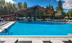 LES Art Resort Zagorodny`j otel`: Бассейн - photo 11