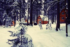 Tuchkovo Zagorodny`j klub: Территория - photo 3